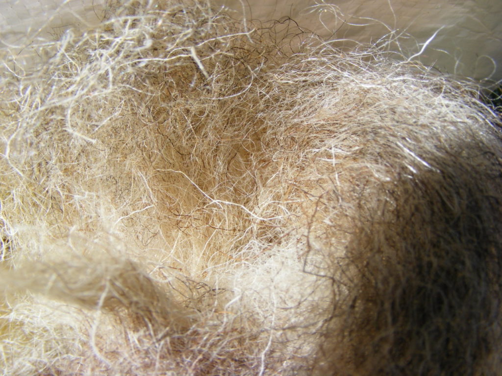 How to Soften Wool Put This On