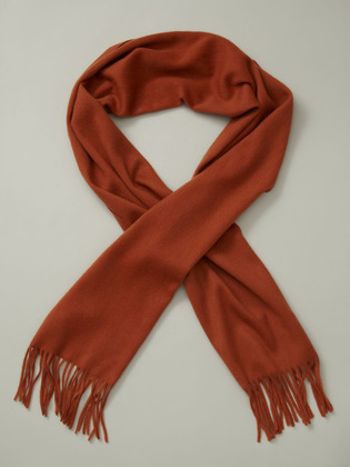 Gilt has a wool/ cashmere blend scarf in that burnt orange color