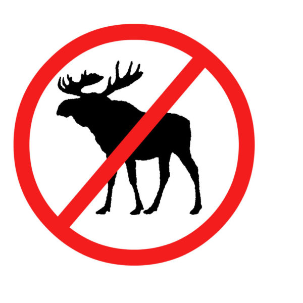 Abercrombie Moose Soon to Be Extinct